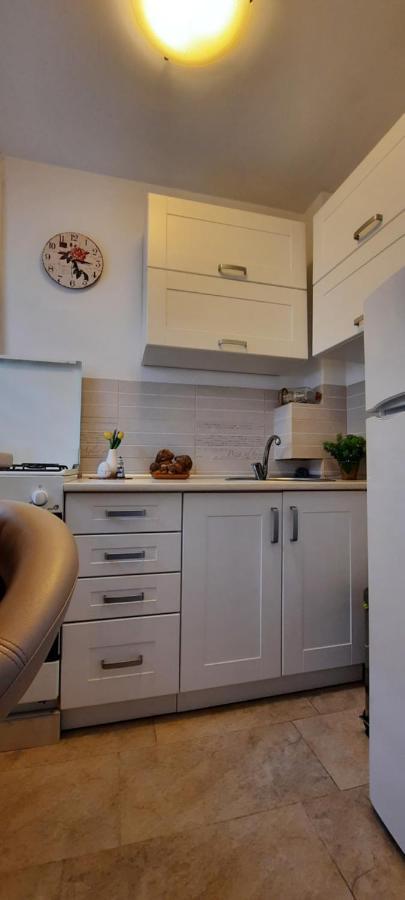 Farmec Studio Apartamento Cluj-Napoca Exterior foto